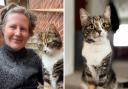Owner's plea for drivers to 'stop speeding' after death of cat that 'saved her life'