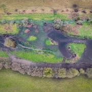 Aerial view of the Hamble Brook wetlands