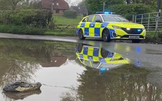 The police were called following sightings of the creature in a body of floodwater