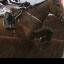 Imperial Commander puts in a great leap at the final fence