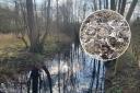 Thames Water discharges sewage into 'important wildlife area' for SECOND time