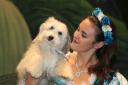 Ashleigh and Sully: BGT winner comes to Wycombe with her new doggy partner