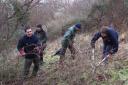 A Brush Hill Nature Reserve work party