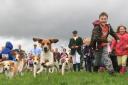 Welly-clad crowds flock to county show