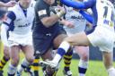 No stopping him: Wasps prop Ali McKenzie looks to power past Sale's Richard Wrigglesworth