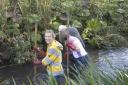Volunteers clean the river Wye as part of the 'revive the Wye project'.