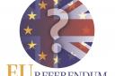 READER POLL: EU, stay or leave?