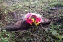 UPDATE: Tributes left at roadside after woman dies in horror crash