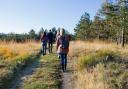 Staying active and meeting outside for walks could be an affordable way to meet people (Alamy/PA)