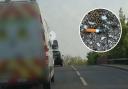 Van driver is fined for flytipping after dumping a cigarette