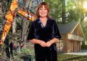 ITV presenter Lorraine Kelly has been urged by a resident in the Buckinghamshire village where she lives to help stop 'cowboy' builders after a woodland was cleared to make way for three bungalows