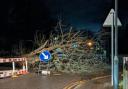 Fallen tree causes partial road closure in Bucks town after arrival of Storm Henk