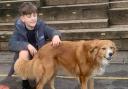 Dog Phoebe went missing on Wednesday