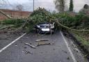 A fallen tree on a car during Storm Henk