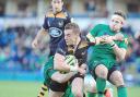 Wasps' fringe players powered past London Irish