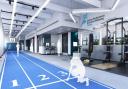 University to open landmark sports science centre in Wycombe