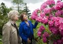 Discover National Gardening Week events near you
