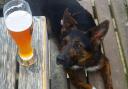 There are many dog-friendly pubs in Bucks