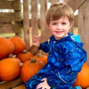 Where to go pumpkin picking this October (Credit: Odds Farm Park)