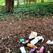 Litter lout dumps waste in iconic Bucks park