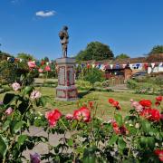 Town garden wins GOLD in Thames and Chilterns in Bloom