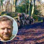 Chiltern Society responds to concerns over tree felling in ancient woodland