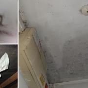 There have been mould and installation issues in the property