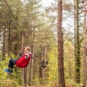 A boy swinging in the trees at Go Ape