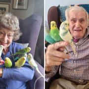 The residents very much enjoyed the day with the performing birds!