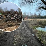Landowner defends 'harmful' tree felling in Bucks for 'no clear reason'