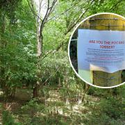 ‘Are you the poo bag tosser?’: Man spots warning to dogwalkers in woodland
