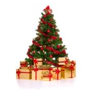Christmas leftovers aid charities