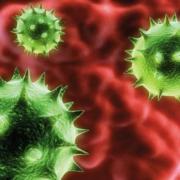 Norovirus caused havoc for hospitals around the UK last winter, with the bug being blamed by Bucks NHS bosses for problems at Stoke Mandeville Hospital's A&E