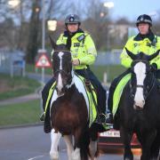 Officers from Thames Valley Police's mounted unit last week