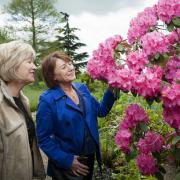 Discover National Gardening Week events near you