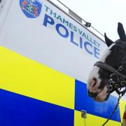 Police horses could be given the boot under new cost-cutting proposals