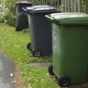 Recycling bins on parade. Will they be emptied this week?