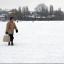 Snow latest: Is your school shut?