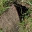 The manhole