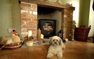 A wood burning stove is the epitome of cottage chic - but are they environmentally-friendly and are they worth the cost of installing?