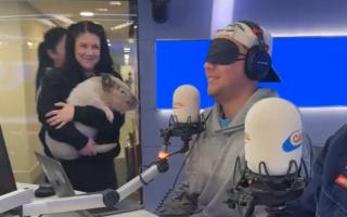 Mini pig from Bucks surprises Roman Kemp live on radio show