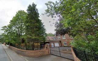 Trees at Mentmore House in Gerrards Cross
