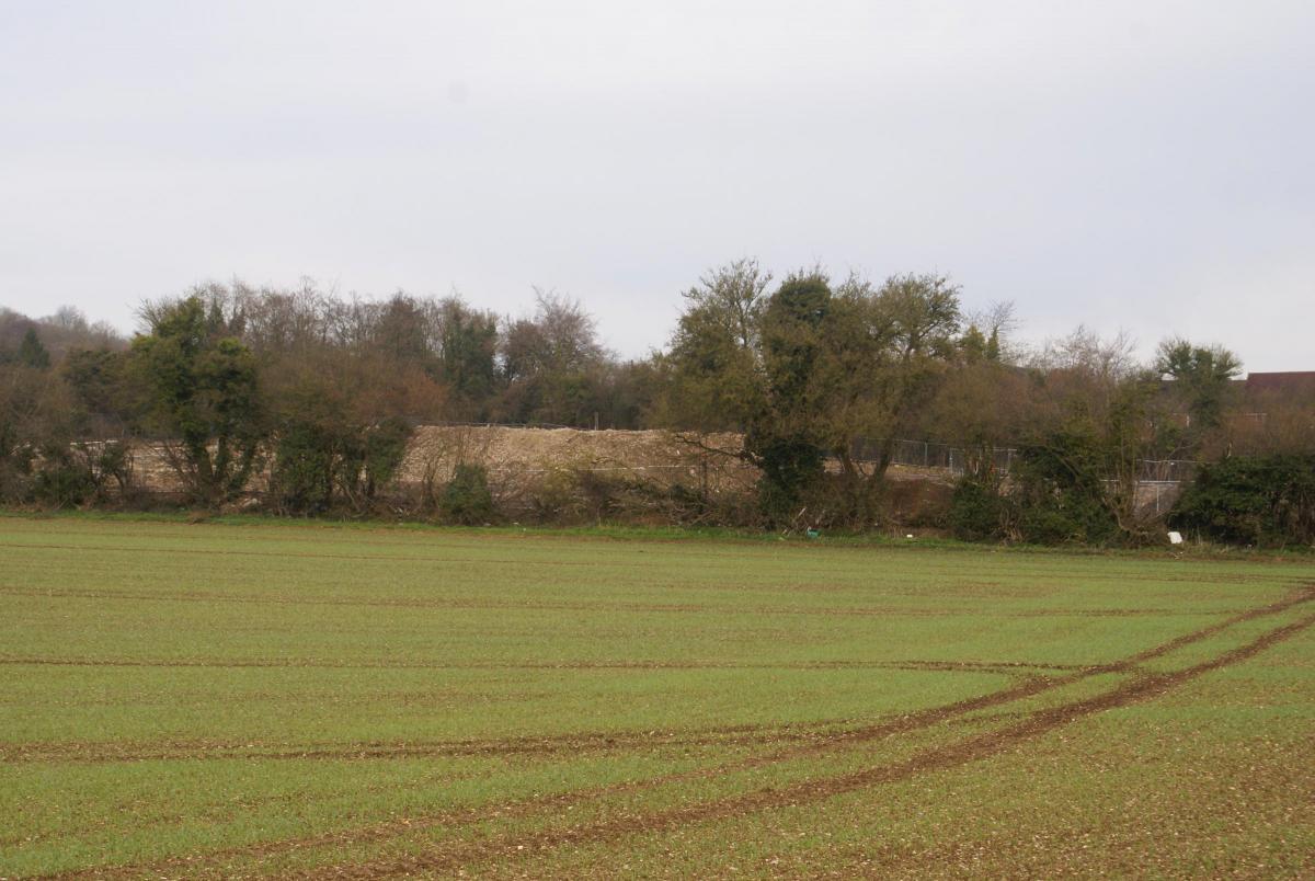The view of the site from the adjacent field Photo Will Burton
