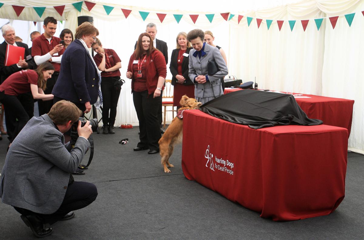 Princess Anne's visit to Hearing Dogs for Deaf People 2016 Photo ARM Images