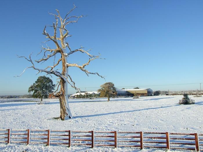 Alastair Leiper took this photograph in Stokenchurch on the way to work