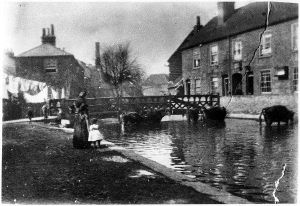 Cattle drinking in the river in the foreground of a view of Rosa Place, Newland Street, High Wycombe. c.1890