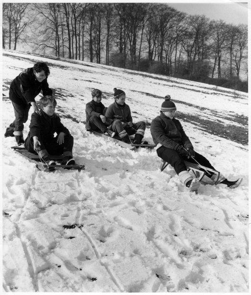View of five boys tobogganing on three sledges after a moderate fall of snow, Tom Burt's Hill, High Wycombe. March 1965