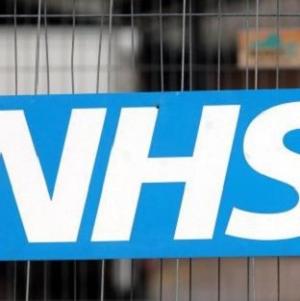 Audit Commission boss Steve Bundred said NHS services would not be affected by a public sector pay freeze