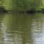 Teenager drowns in River Thames