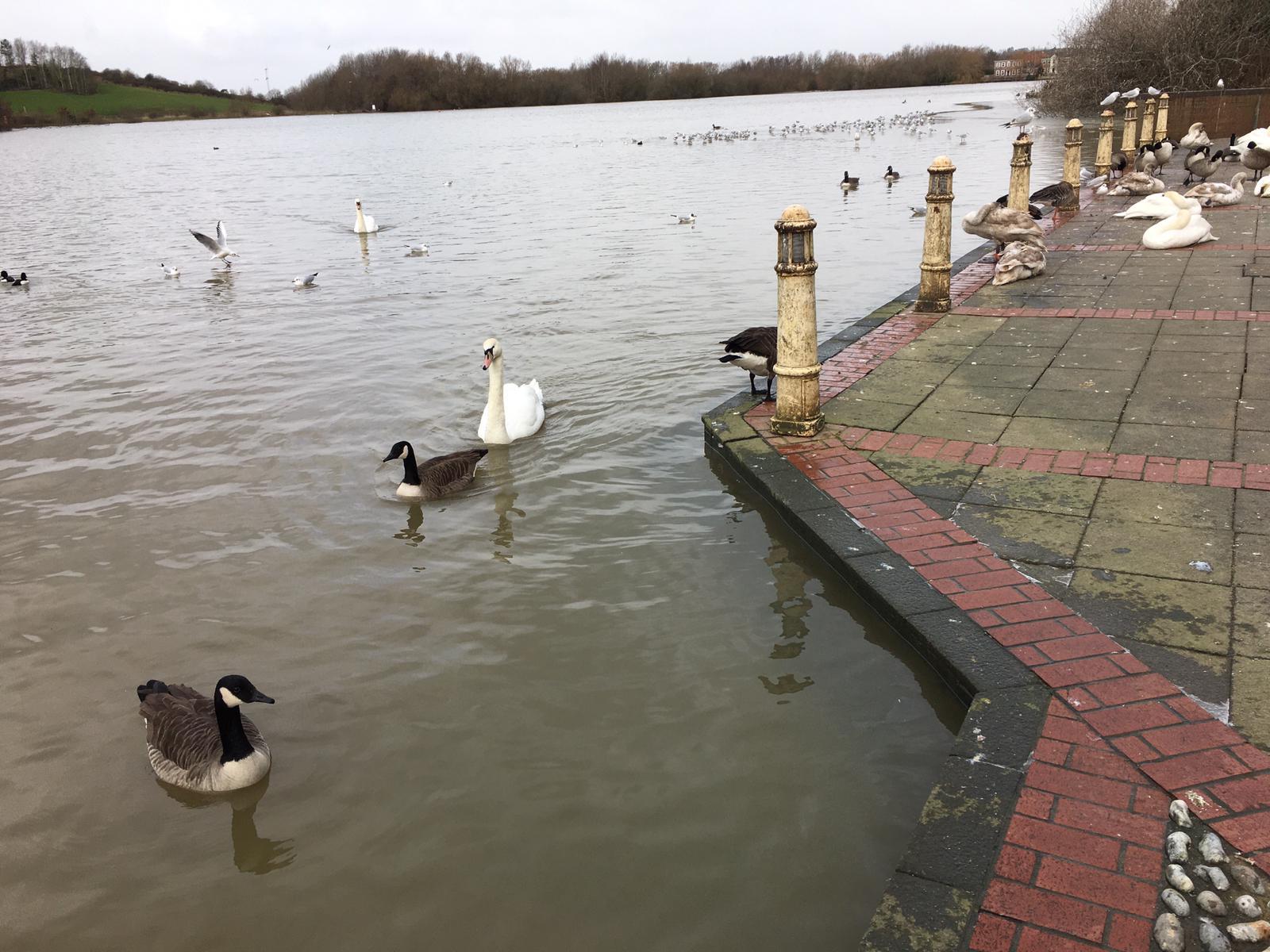 The water levels at Watermead Lake have increased 